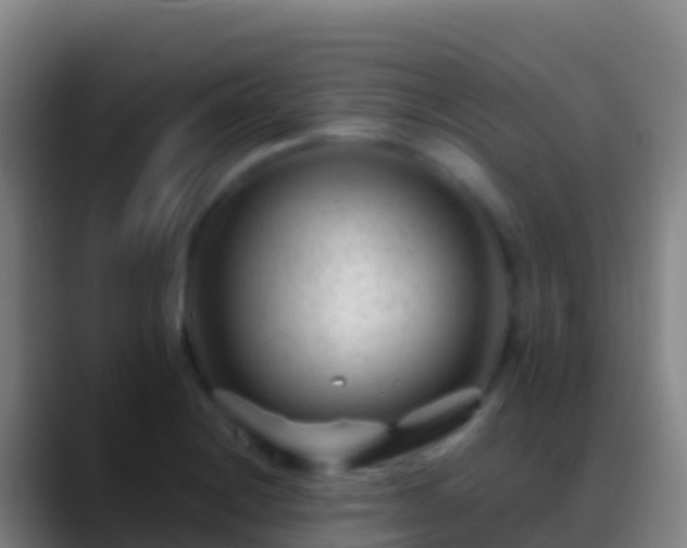 X0000088911228200706151900