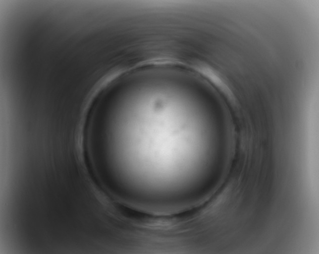 X0000088911229200706151900