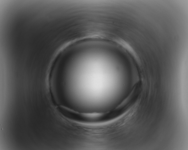 X0000088911230200706151900