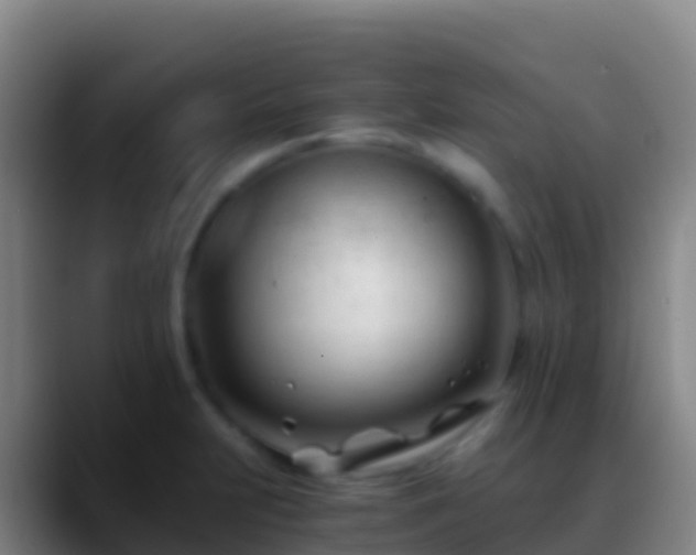 X0000088911231200706151900