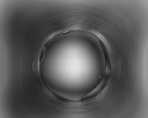 X0000088911238200706151900
