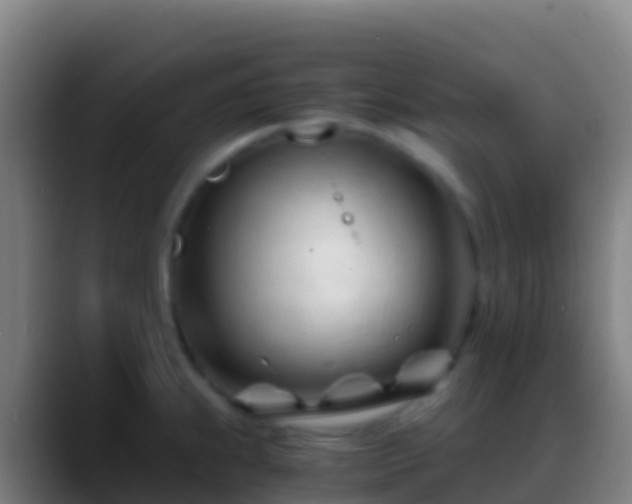 X0000088911239200706151900