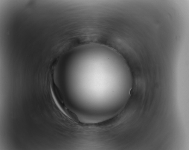 X0000088911250200706151859