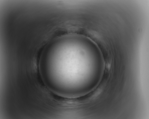 X0000088911252200706151859