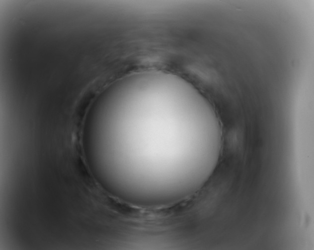 X0000088911254200706151859