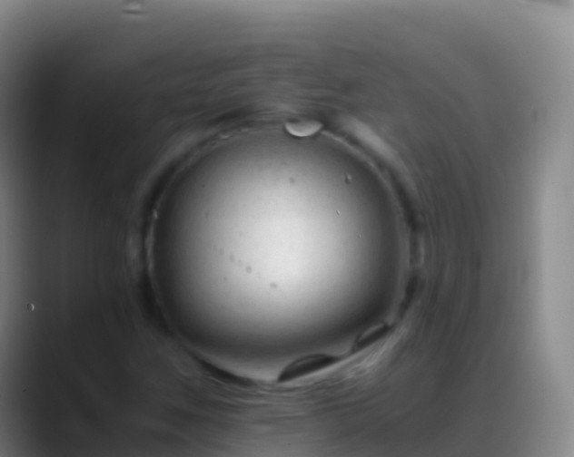 X0000088911259200706151859