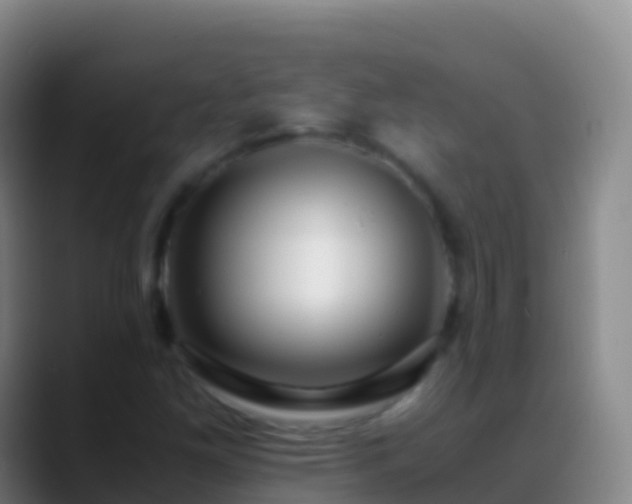 X0000088911261200706151859