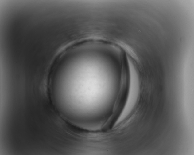 X0000088911264200706151859