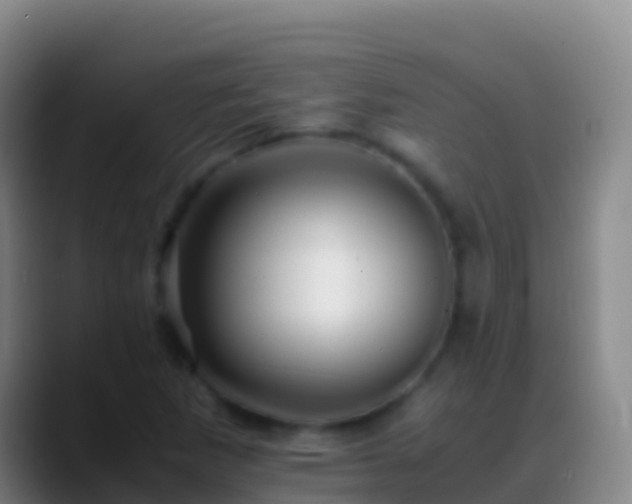 X0000088911265200706151859