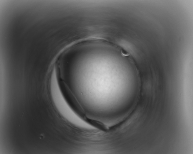 X0000088911268200706151859