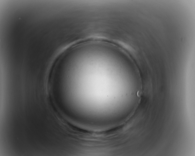 X0000088911271200706151859