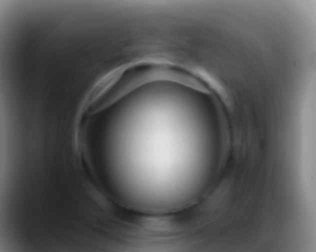 X0000088911272200706151859