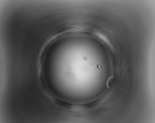 X0000088911275200706151859