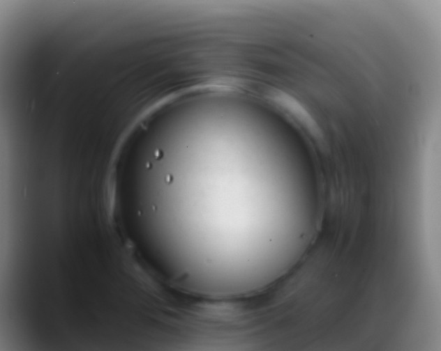 X0000088911276200706151859