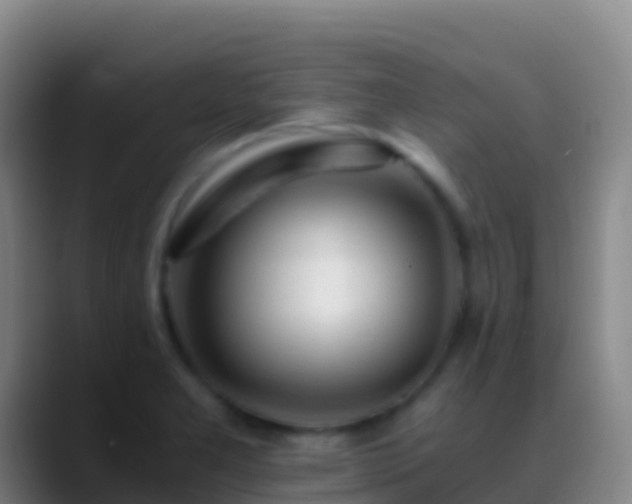 X0000088911277200706151859