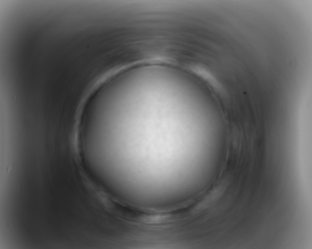 X0000088911278200706151859