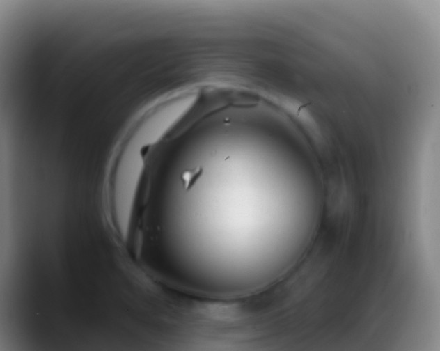 X0000088911280200706151859