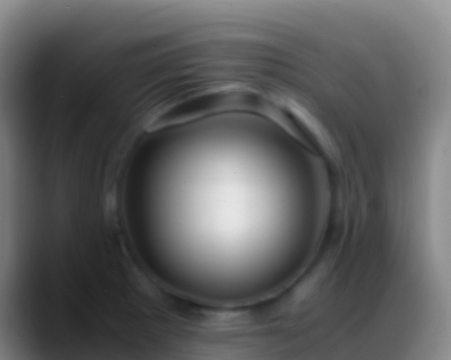 X0000088911281200706151859