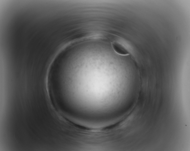 X0000088911283200706151859