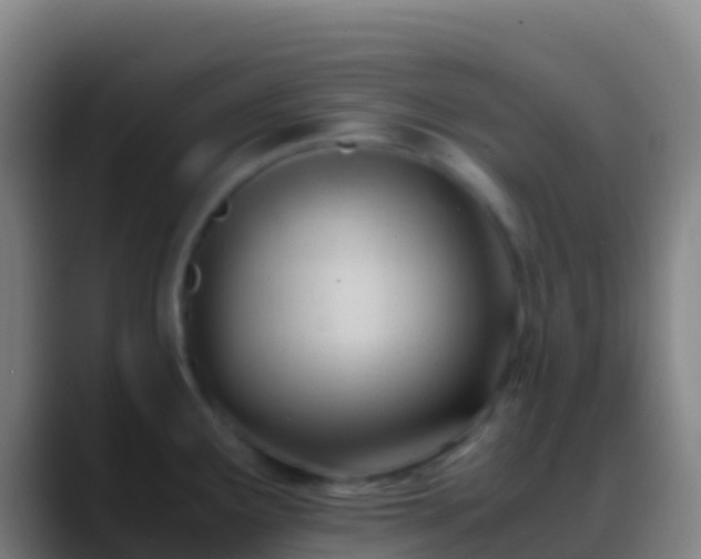 X0000088911291200706151859