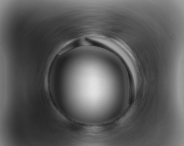 X0000088911293200706151859