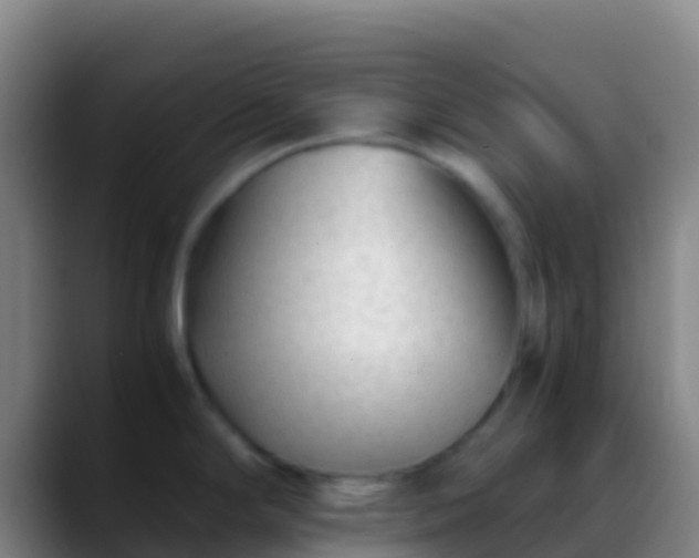 X0000088911294200706151859