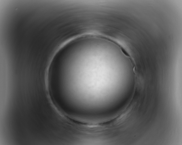 X0000088911295200706151859
