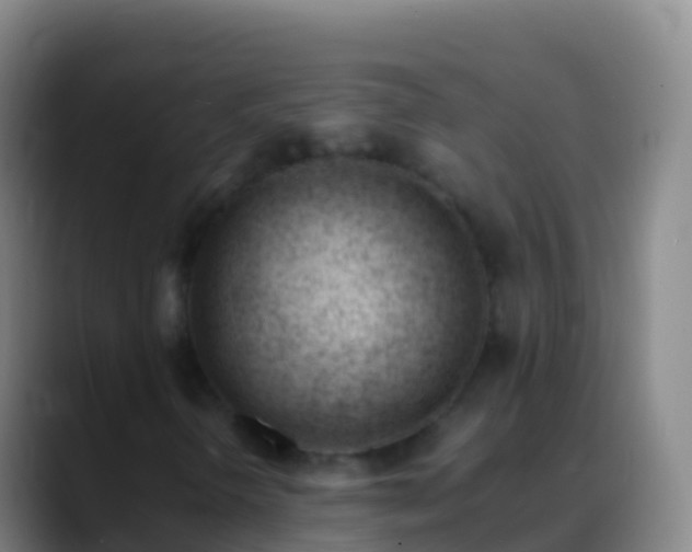 X0000088911298200706151858