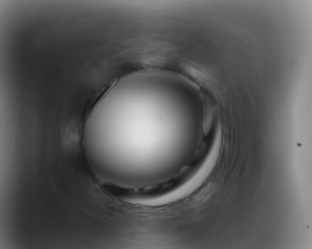 X0000088911300200706151858