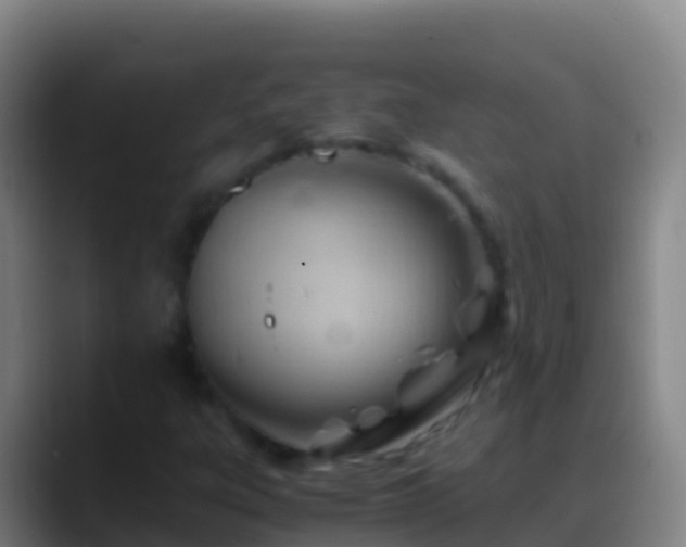 X0000088911303200706151858