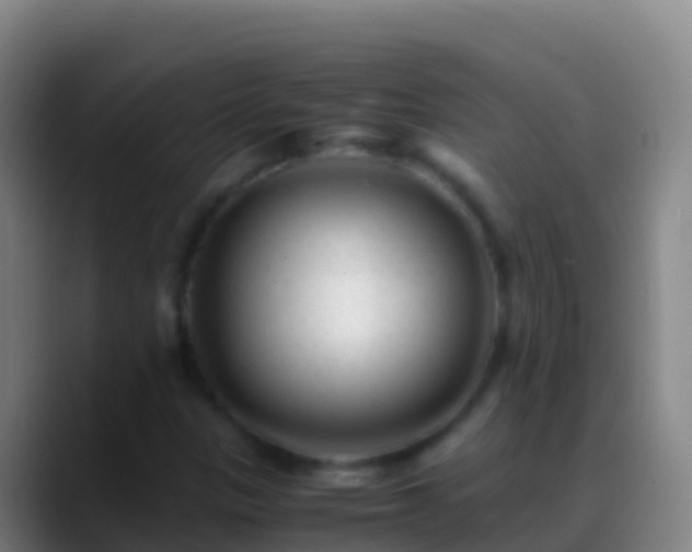 X0000088911305200706151858