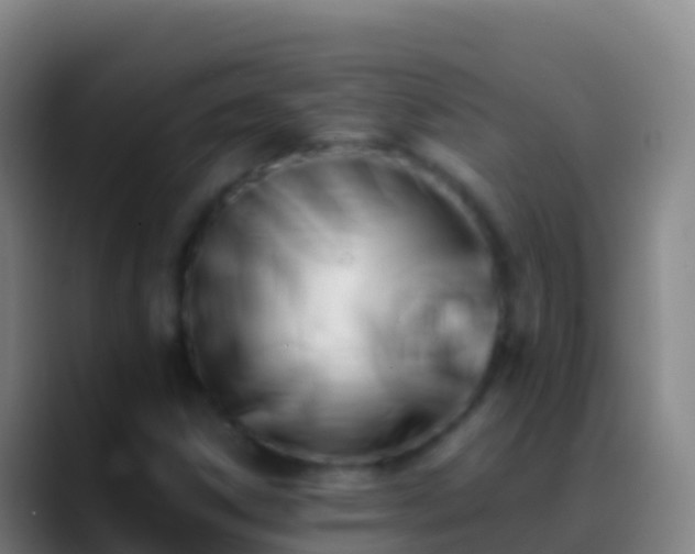 X0000088911306200706151859