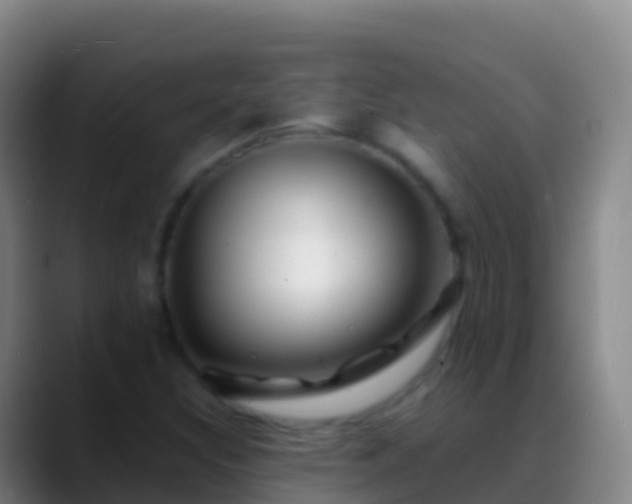 X0000088911308200706151859