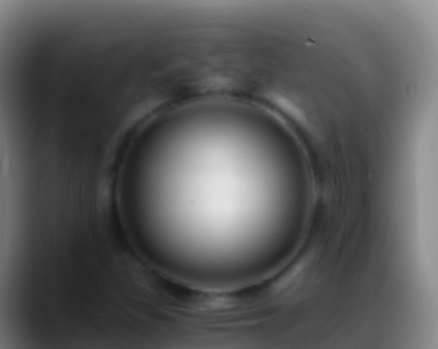 X0000088911309200706151859