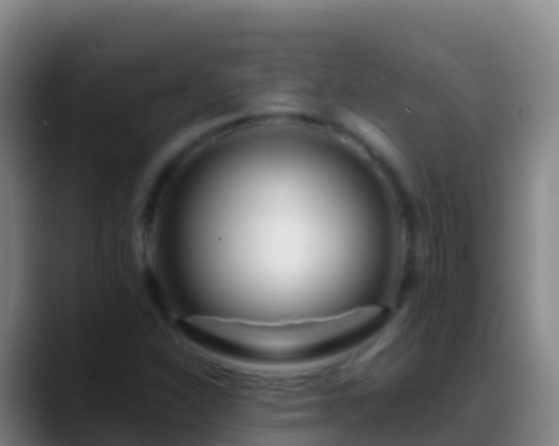 X0000088911310200706151859