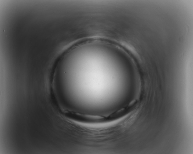X0000088911311200706151859