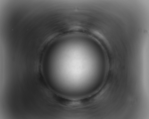 X0000088911313200706151859