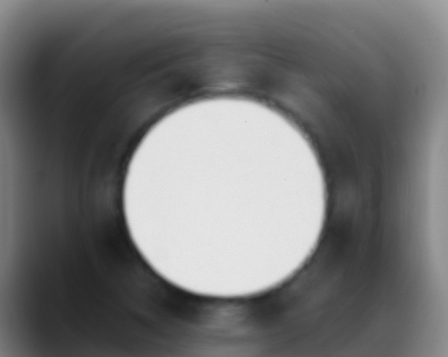 X0000088911314200706151859