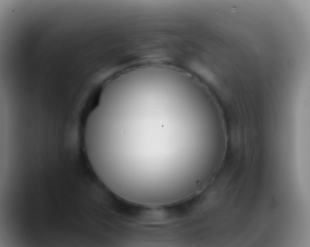X0000088911315200706151859