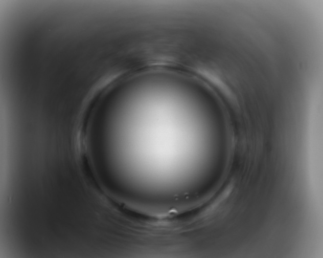 X0000088911317200706151859