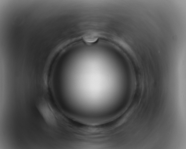 X0000088911318200706151859