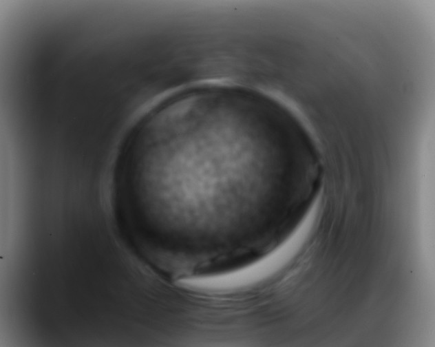 X0000088911319200706151859