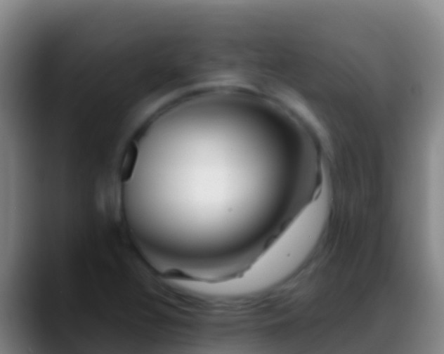 X0000088911320200706151859