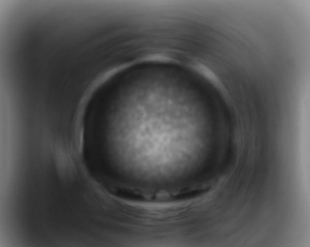 X0000088911323200706151859