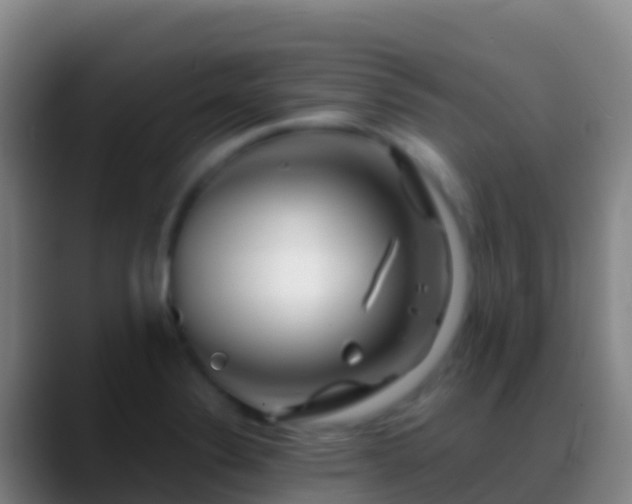 X0000088911324200706151859