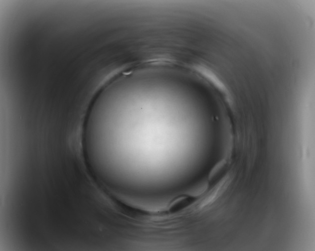 X0000088911325200706151859