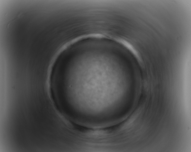 X0000088911327200706151859