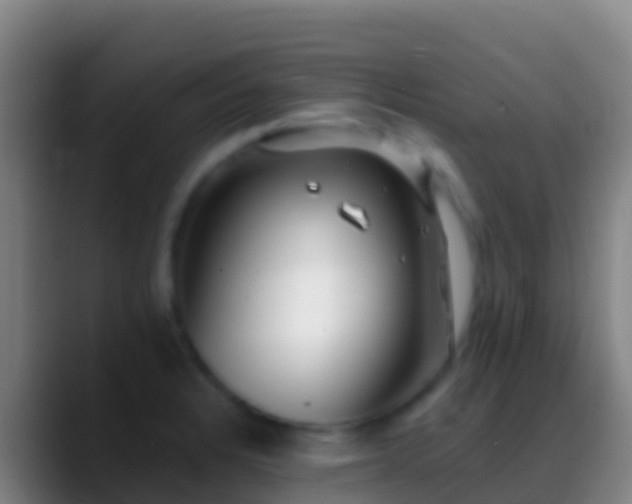 X0000088911328200706151859