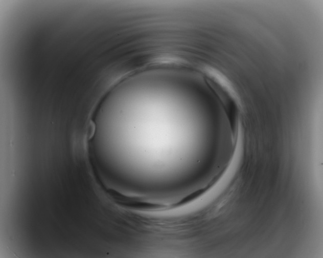 X0000088911330200706151859