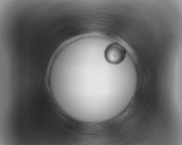 X0000088911332200706151859